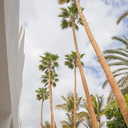 Lägenhet Calypso Fuerteventura